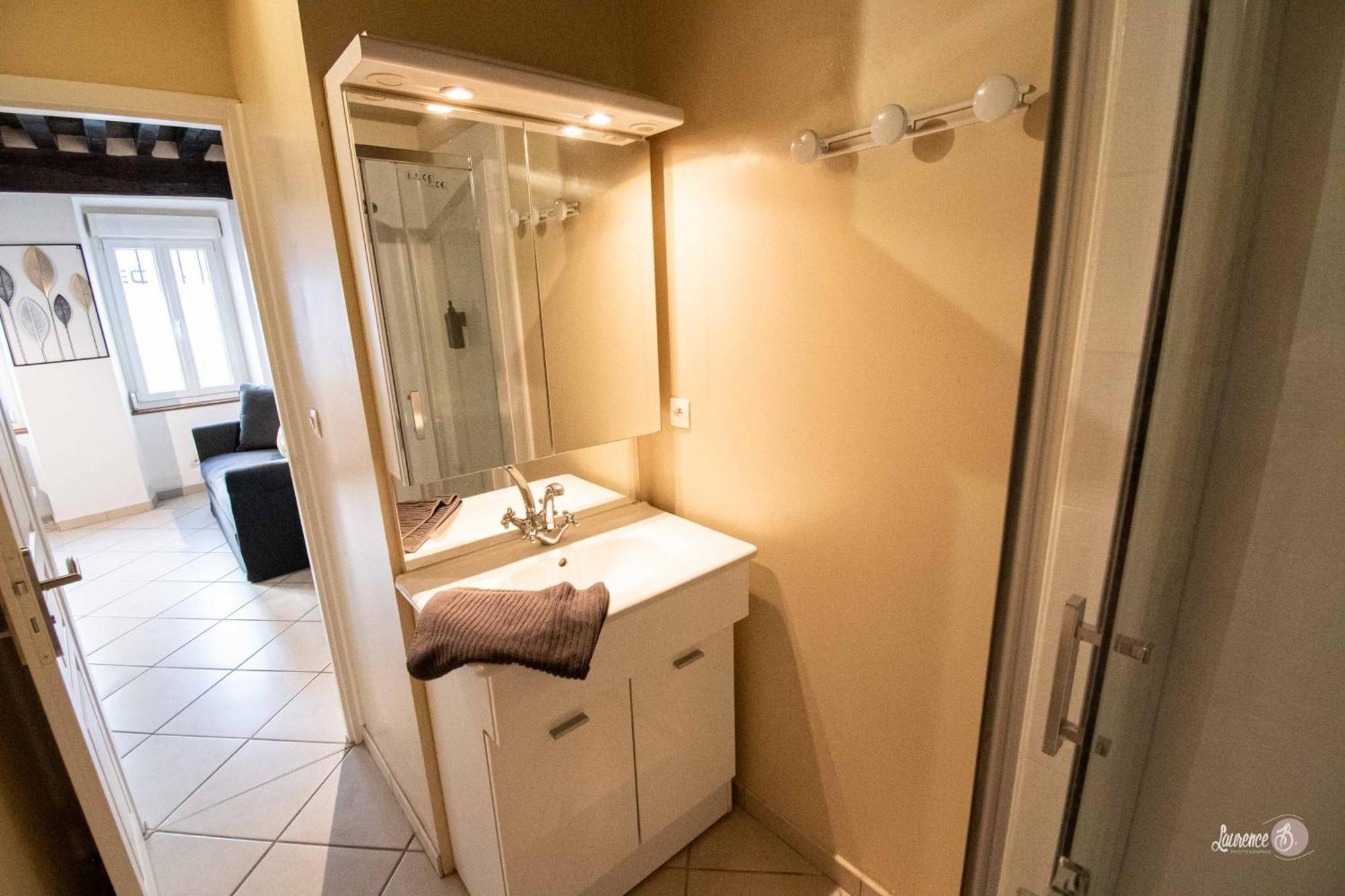 Residence Le Zola Compose De 3 Appartements Distincts En Hyper Centre De Dijon Avec Wifi מראה חיצוני תמונה