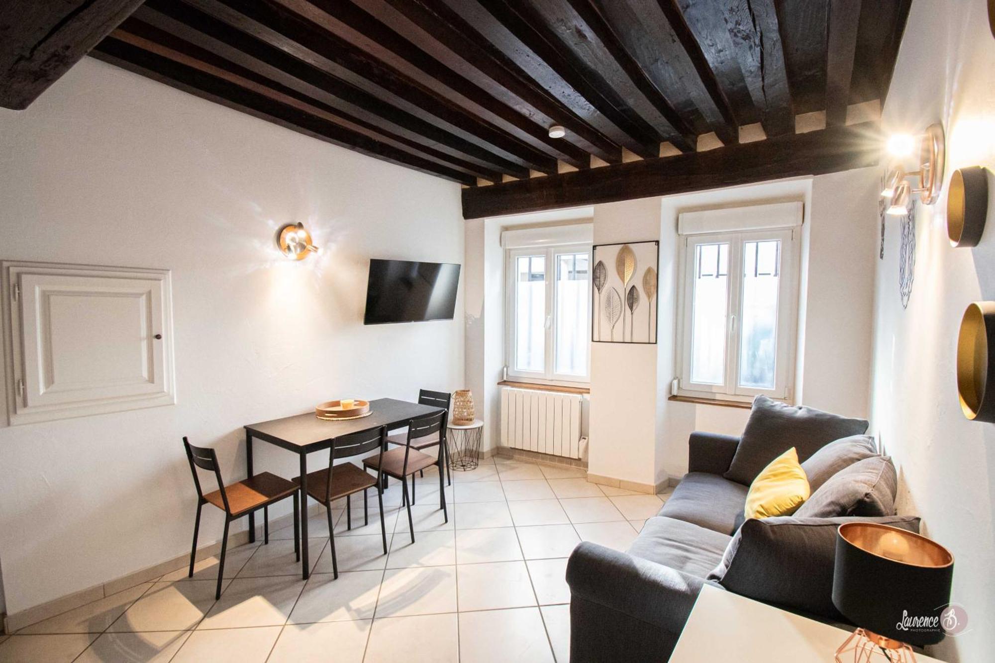 Residence Le Zola Compose De 3 Appartements Distincts En Hyper Centre De Dijon Avec Wifi מראה חיצוני תמונה