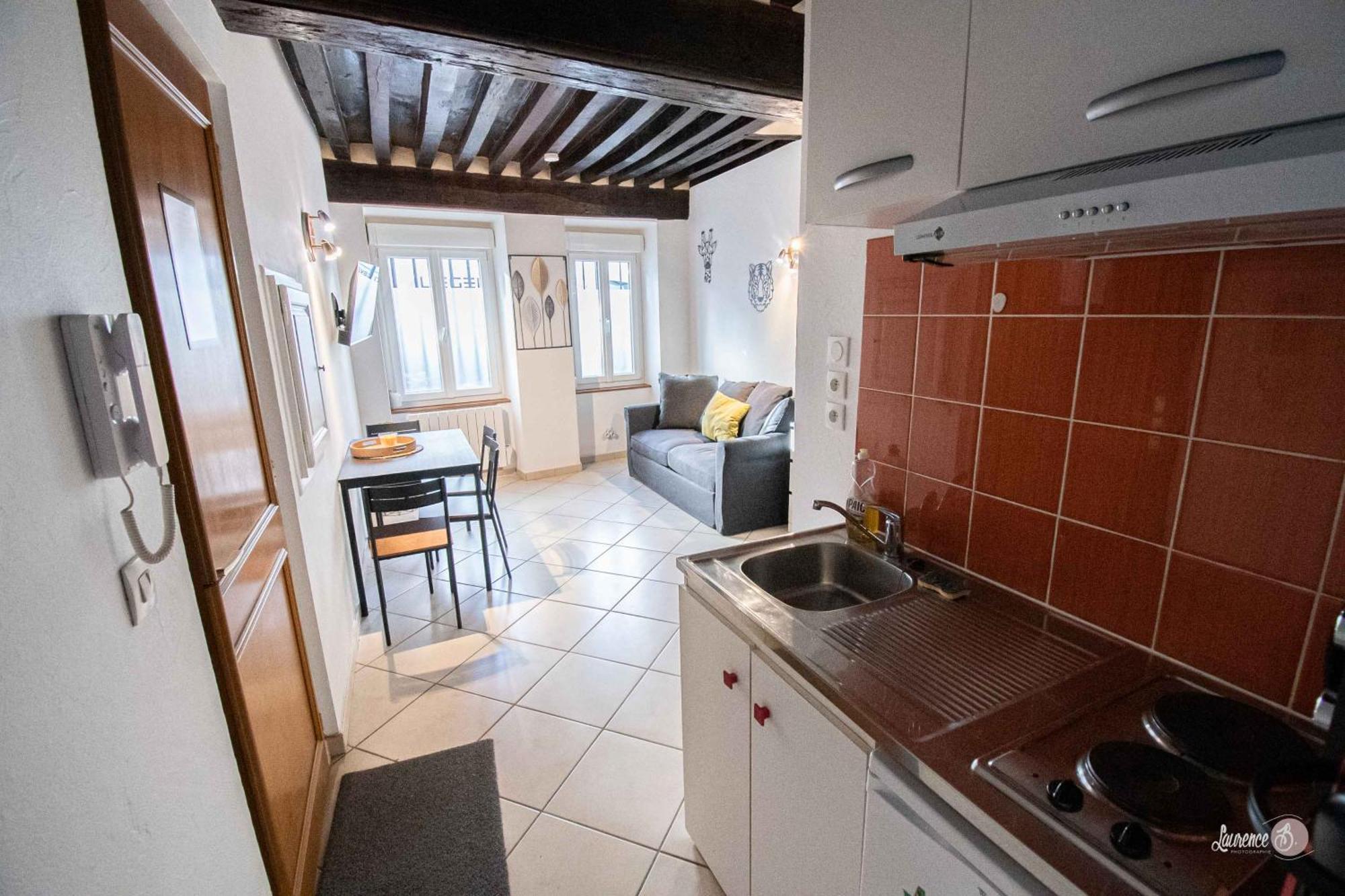 Residence Le Zola Compose De 3 Appartements Distincts En Hyper Centre De Dijon Avec Wifi מראה חיצוני תמונה