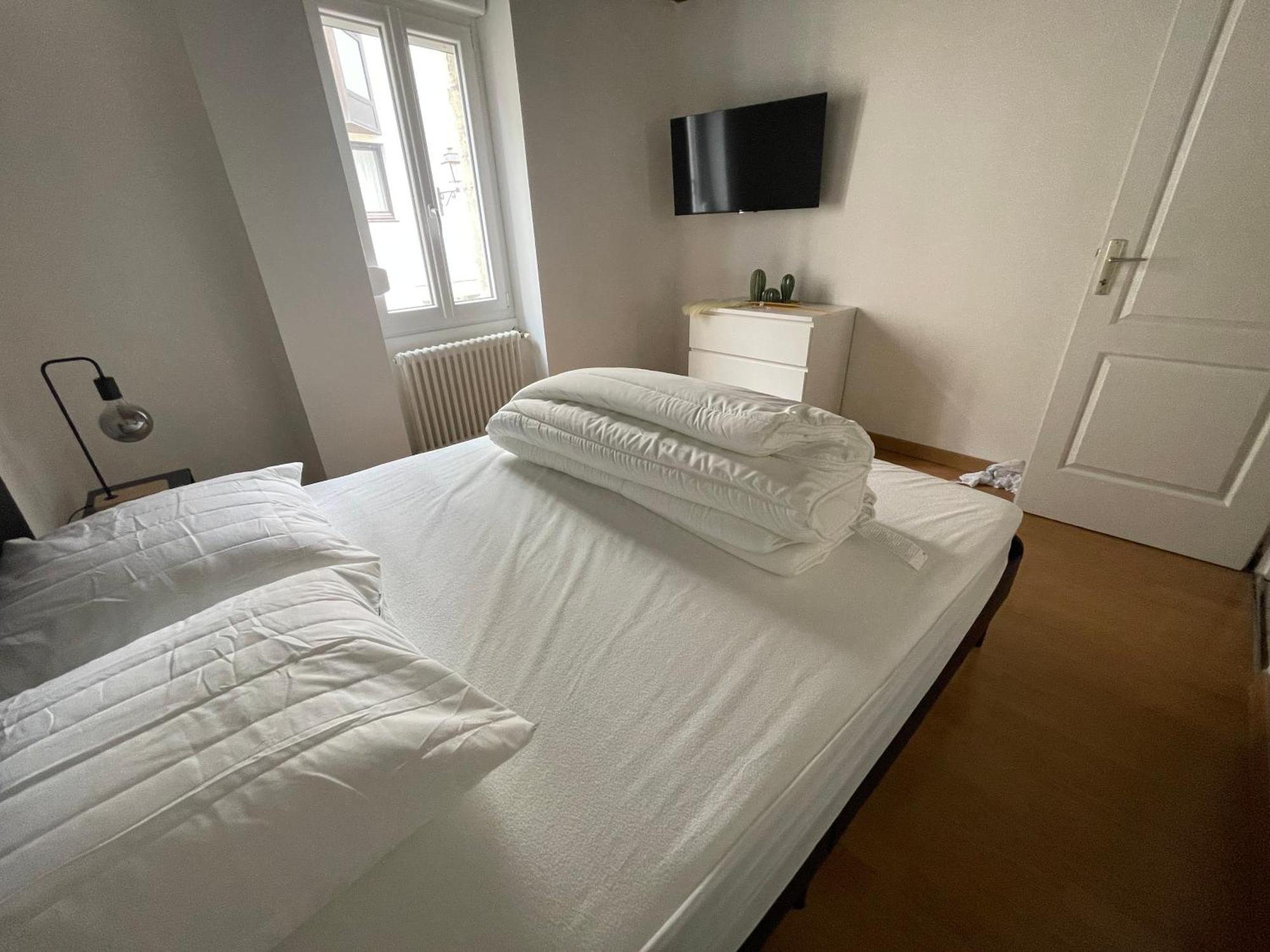 Residence Le Zola Compose De 3 Appartements Distincts En Hyper Centre De Dijon Avec Wifi מראה חיצוני תמונה